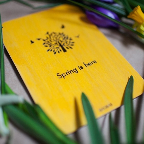 BAOBAB: авторская открытка из дерева весна